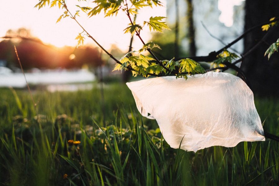 Should Lynbrook Tax Plastic Bags?