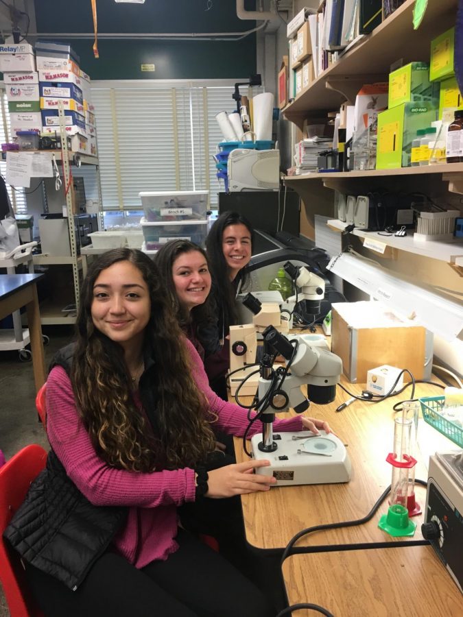 New at LHS: Women in STEM Club