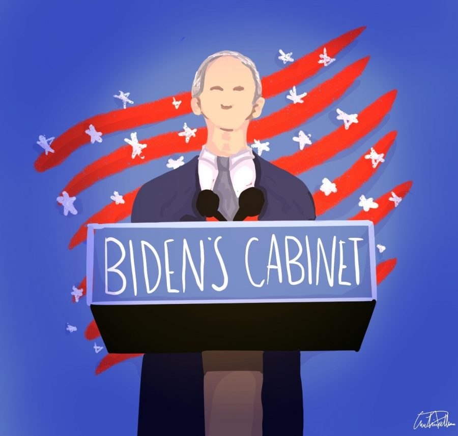 President-elect Joe Bidens Cabinet nominations have begun to be announced