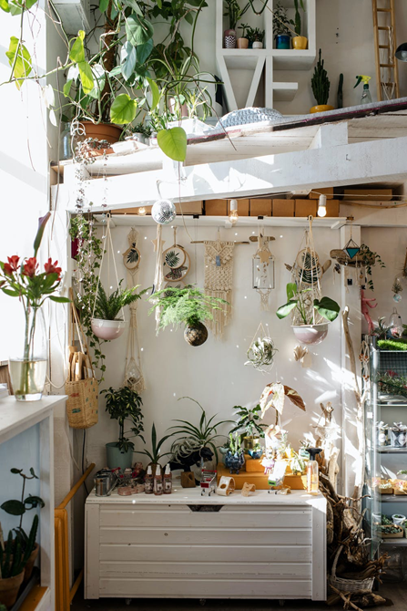 An example of one of the many ways to decorate a small room: botanical lights.