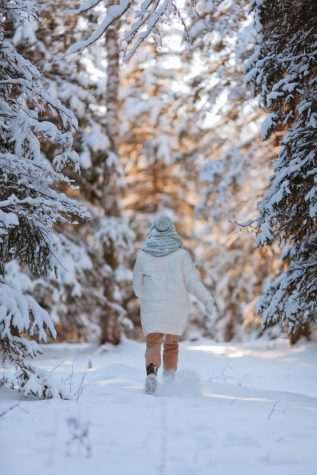 Top-10 Ways to Spend Winter Break