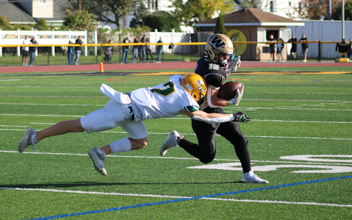 Owls Season Ends in Playoffs Loss to Wantagh