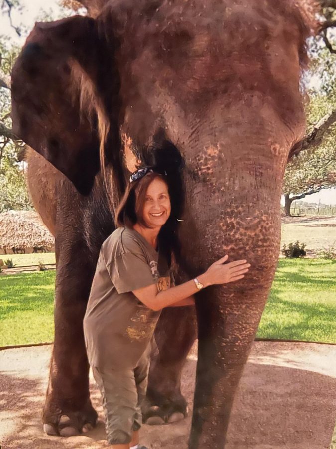 Burak, and avid animal lover, jus an elephant at an elephant rescue sit in Texas.