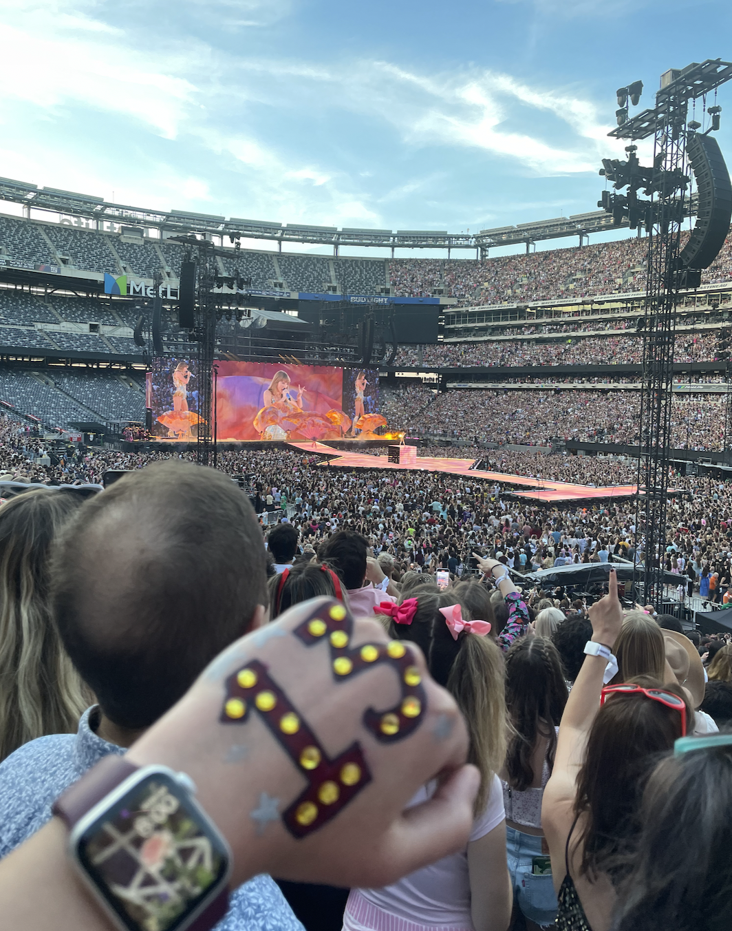 Taylor Swift reputation Stadium Tour - Plugged In