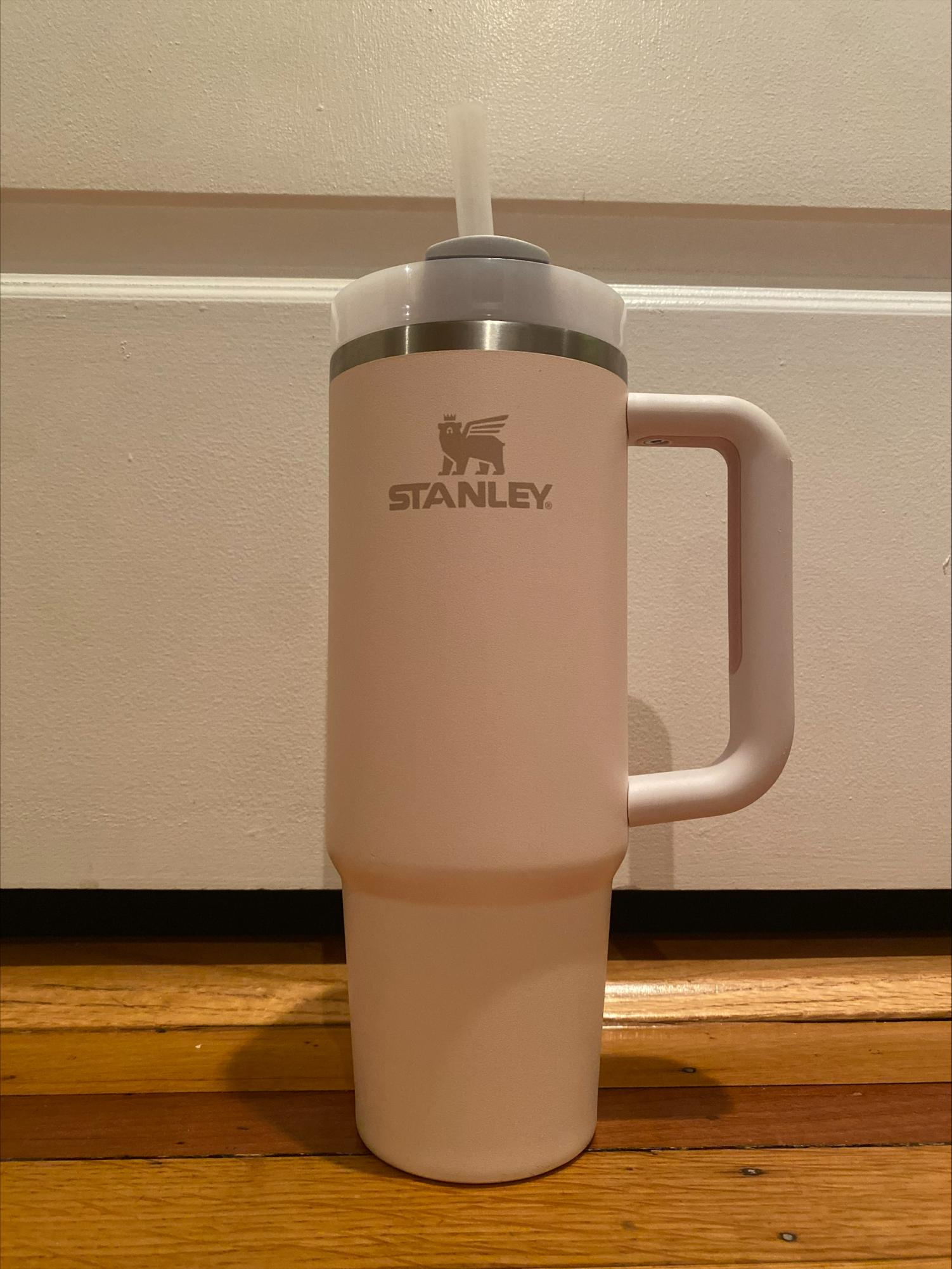 Stanley “Stans”: The Hype Surrounding the World-renowned Metal Bottle –  Horizon