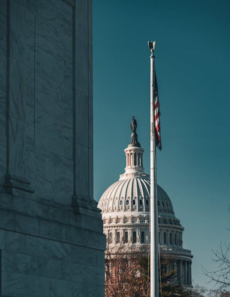 Photo by 之吟 许: https://www.pexels.com/photo/us-capitol-dome-with-american-flag-in-washington-d-c-30207172/