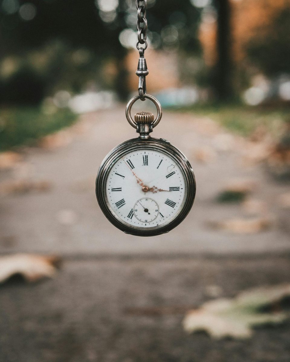 Photo by Andrik Langfield on Unsplash
      
