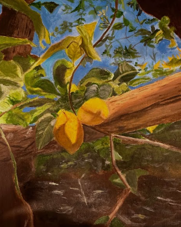 Artist Spotlight: Ana Juarez