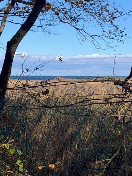 Looking north at the Long Island Sound, as viewed from Baiting Hollow