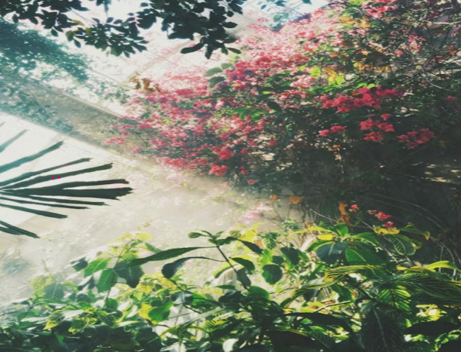 Photo courtesy of Unsplash