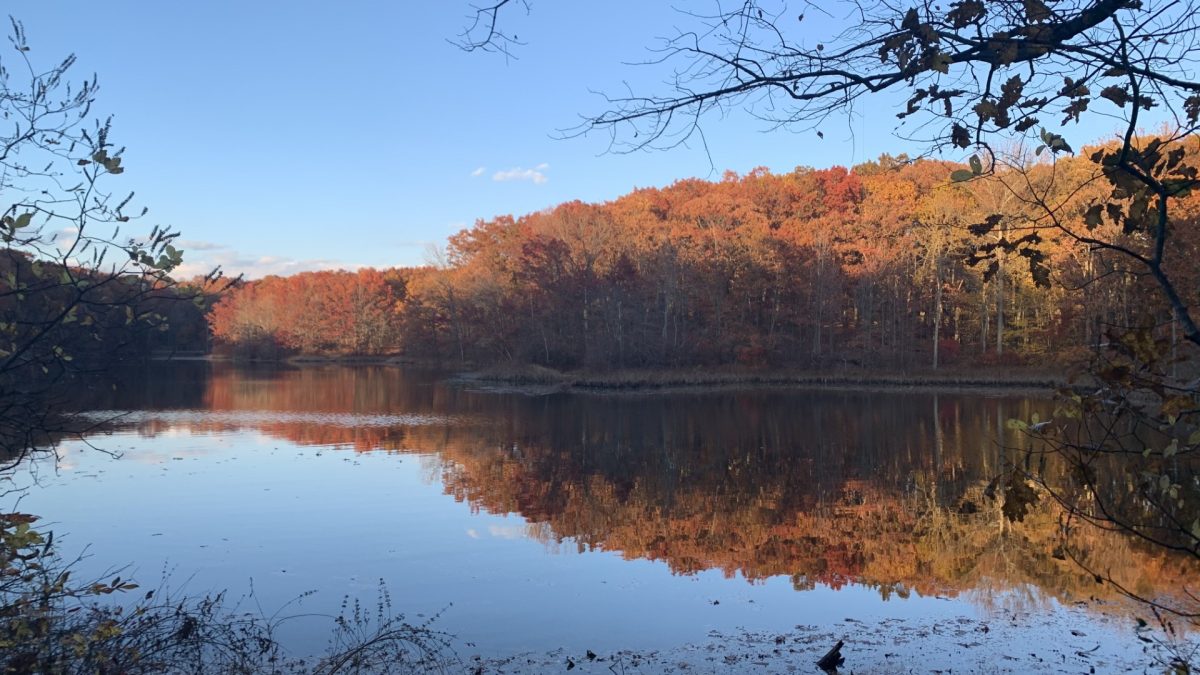 A pond in Staten Island, NY