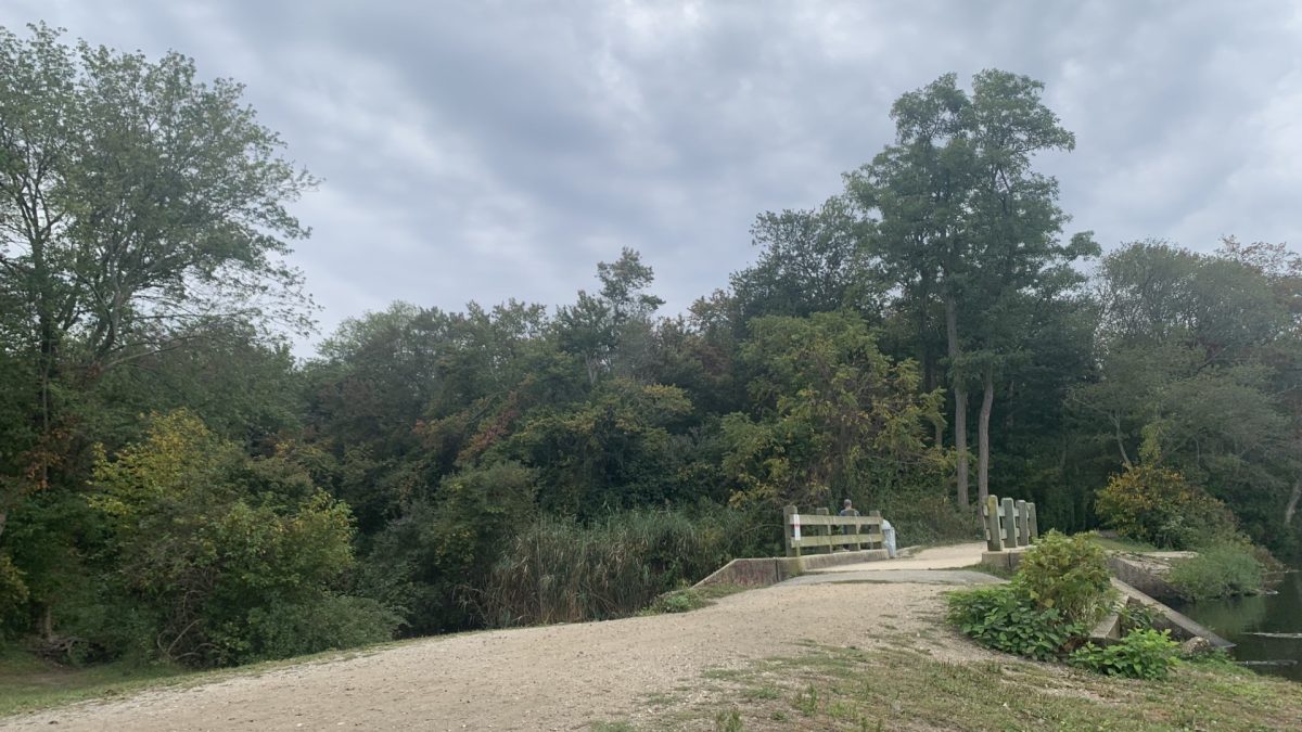 Southards Pond Park in Babylon, NY