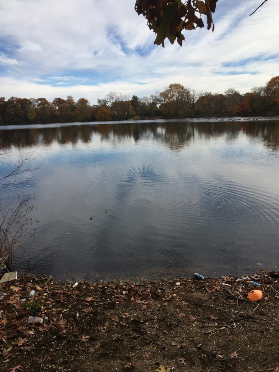 Northeast Pond at Hempstead Lake State Park